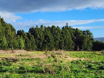 Parcela sin casa en Valdivia, Parcelas Cabo Blanco, a 10 min del centro