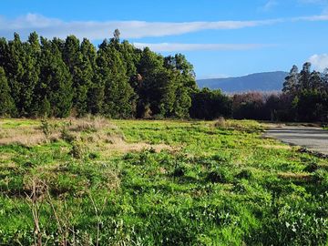 Parcela sin casa en Valdivia, Parcelas Cabo Blanco, a 10 min del centro