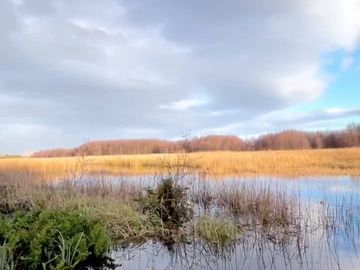 Parcela sin casa en Valdivia, Parcelas Cabo Blanco, a 10 min del centro