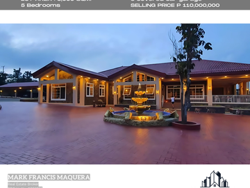 For sale Brand New Mansion in Tagaytay Fully Furnished