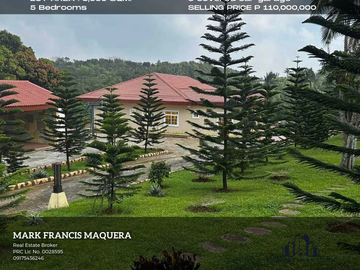 For sale Brand New Mansion in Tagaytay Fully Furnished