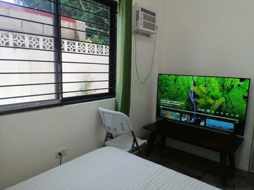 FULLY FURNISHED DUMAGUETE HOUSE AND LOT FOR SALE ID 14949