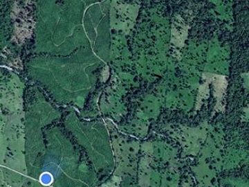 SE VENDE HERMOSA HACIENDA DE PALIMITO  EN PLENA PRODUCCION 74 HAS.  LOS BANCOS – PICHINCHA - ECUADOR