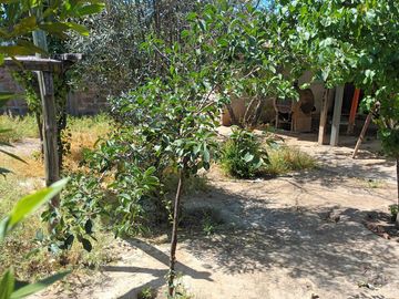 VENTA CASA SAN BERNARDO EX PANIFICADORA
