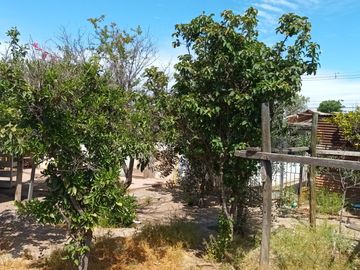 VENTA CASA SAN BERNARDO EX PANIFICADORA