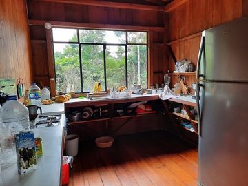 SE VENDE HERMOSA HACIENDA PLATANERA EN PRODUCCIÓN 112 HAS. LA CONCORDIA - SANTO DOMINGO - ECUADOR