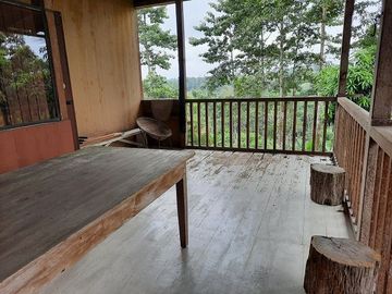 SE VENDE HERMOSA HACIENDA PLATANERA EN PRODUCCIÓN 112 HAS. LA CONCORDIA - SANTO DOMINGO - ECUADOR