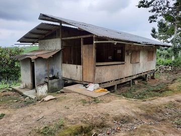 SE VENDE HERMOSA HACIENDA PLATANERA EN PRODUCCIÓN 112 HAS. LA CONCORDIA - SANTO DOMINGO - ECUADOR