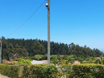 Excelente oportunidad de Inversión, se vende estupenda Parcela en La Trinchera, comuna de Curepto