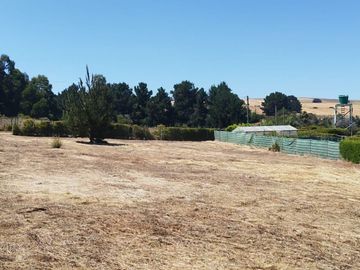 Excelente oportunidad de Inversión, se vende estupenda Parcela en La Trinchera, comuna de Curepto