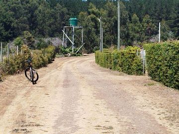 Excelente oportunidad de Inversión, se vende estupenda Parcela en La Trinchera, comuna de Curepto