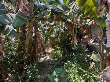 Se Vende Casa Como Terreno En Huacho