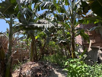 Se Vende Casa Como Terreno En Huacho