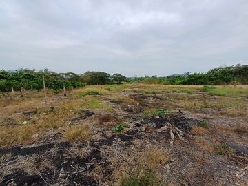 SE VENDE FINCA AGRÍCOLA 25 HECTAREAS  TABULE – TACHINA – ESMERALDAS - ECUADOR
