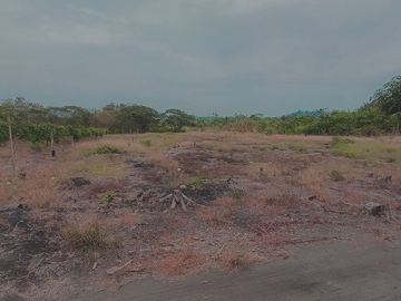 SE VENDE FINCA AGRÍCOLA 25 HECTAREAS  TABULE – TACHINA – ESMERALDAS - ECUADOR