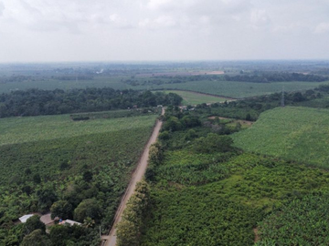 Terreno en Venta en Engabao, 184 Hectareas, Ecuador