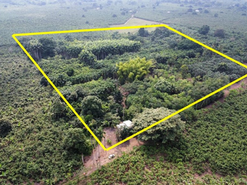 Terreno en Venta en Engabao, 184 Hectareas, Ecuador