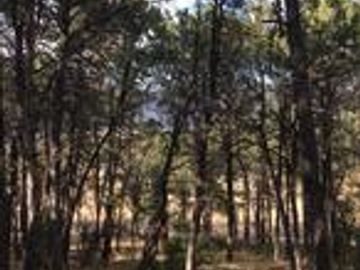 CABAÑA EN VENTA ARTEAGA, COAHUILA