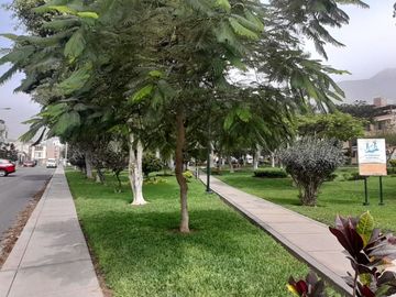 Tranquilidad y confort en La Molina: Venta Departamento de 67m² frente a un parque