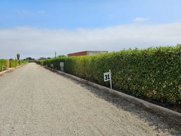 1078 M2.VENTA TERRENO CONDOMINIO LOS TANGELOS QUILMANA CAÑETE