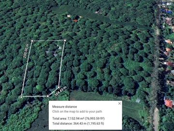 7,154 sqm mango farm with overlooking view for sale in Buenavista, Guimaras