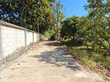 Land for Sale Near Tak Sin Camp, Mae Rim District, Chiang Mai – Perfect for Residential Use, Peaceful