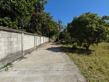 Land for Sale Near Tak Sin Camp, Mae Rim District, Chiang Mai – Perfect for Residential Use, Peaceful