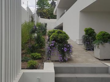 Fino departamento de 3 dormitorios en los Almendros en Reñaca