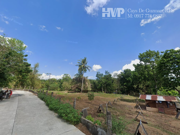 FOR SALE: 10 Hectares Lot in Alaminos, Laguna
