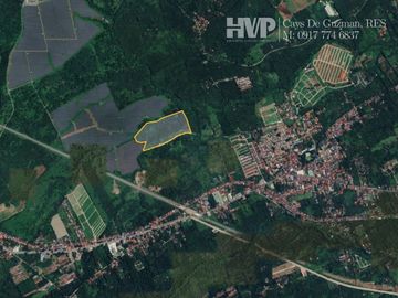 FOR SALE: 10 Hectares Lot in Alaminos, Laguna