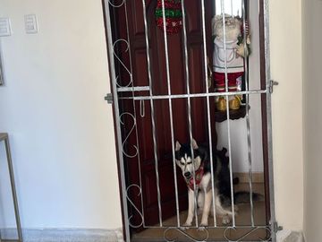 apartamento primer piso riomar