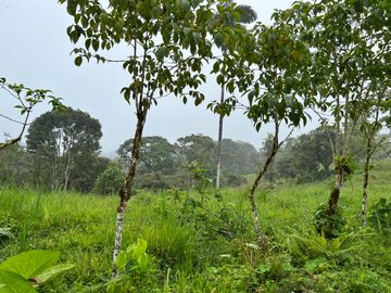 FINCA, QUINTA, HACIENDA, SECTOR SAN JOSE DE MILPE, SAN MIGUEL DE LOS BANCOS, MINDO, PEDRO VICENTE MALDONADO, PUERTO QUITO, PICHINCHA ECUADOR.