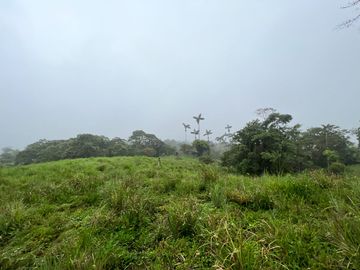 FINCA, QUINTA, HACIENDA, SECTOR SAN JOSE DE MILPE, SAN MIGUEL DE LOS BANCOS, MINDO, PEDRO VICENTE MALDONADO, PUERTO QUITO, PICHINCHA ECUADOR.