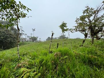 FINCA, QUINTA, HACIENDA, SECTOR SAN JOSE DE MILPE, SAN MIGUEL DE LOS BANCOS, MINDO, PEDRO VICENTE MALDONADO, PUERTO QUITO, PICHINCHA ECUADOR.