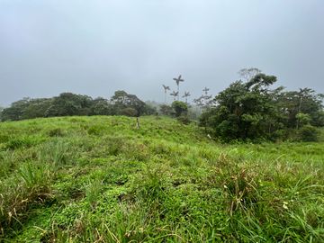 FINCA, QUINTA, HACIENDA, SECTOR SAN JOSE DE MILPE, SAN MIGUEL DE LOS BANCOS, MINDO, PEDRO VICENTE MALDONADO, PUERTO QUITO, PICHINCHA ECUADOR.
