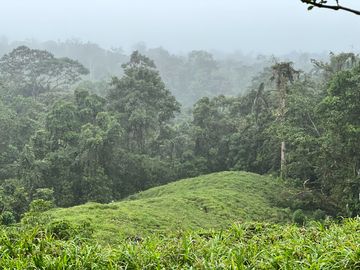 FINCA, QUINTA, HACIENDA, SECTOR SAN JOSE DE MILPE, SAN MIGUEL DE LOS BANCOS, MINDO, PEDRO VICENTE MALDONADO, PUERTO QUITO, PICHINCHA ECUADOR.