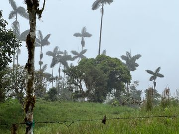 FINCA, QUINTA, HACIENDA, SECTOR SAN JOSE DE MILPE, SAN MIGUEL DE LOS BANCOS, MINDO, PEDRO VICENTE MALDONADO, PUERTO QUITO, PICHINCHA ECUADOR.