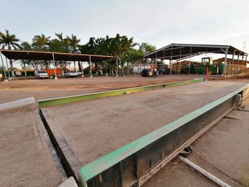 rancho lechero establo en venta ganado vacas lecheras holstein