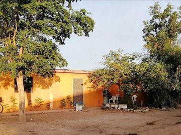 rancho lechero establo en venta ganado vacas lecheras holstein