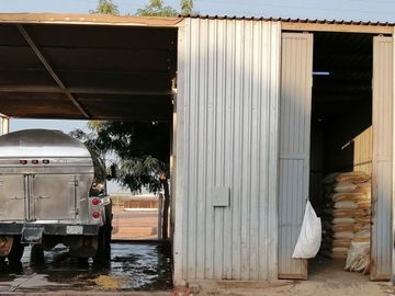 rancho lechero establo en venta ganado vacas lecheras holstein