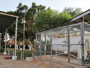 rancho lechero establo en venta ganado vacas lecheras holstein