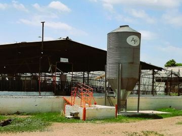 Granja porcina porcícola en venta puerco