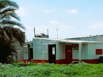 Granja porcina porcícola en venta puerco