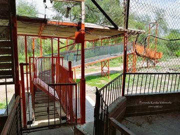 Granja porcina porcícola en venta puerco