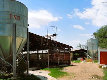 Granja porcina porcícola en venta puerco