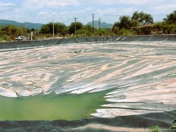 Granja porcina porcícola en venta puerco