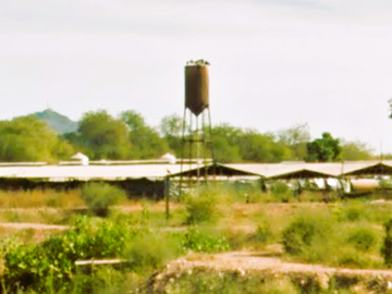 Granja porcina porcícola en venta puerco
