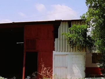 Granja porcina porcícola en venta puerco