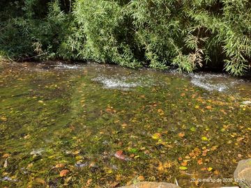Se vende Hermosa parcela a orilla de Rio Mafil - Region de los Rios