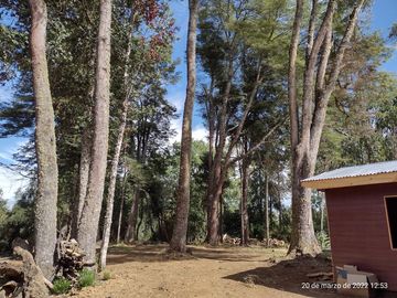 Se vende Hermosa parcela a orilla de Rio Mafil - Region de los Rios